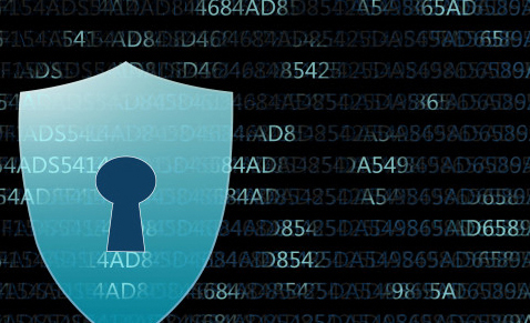 91视频色版APP科技為產品91视频导航下载，值得信賴