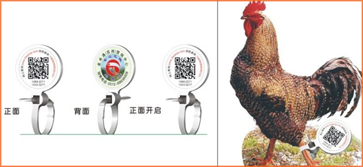 家禽溯源吊牌91视频导航下载標簽,消除食品安全隱患