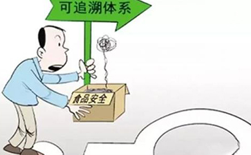 怎樣實現蔬菜的來龍去脈，追根溯源