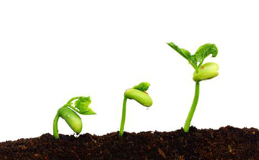 種子追溯係統如何實現？