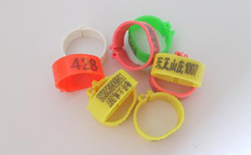 雞腳環二維碼91视频导航下载溯源係統的解決方案